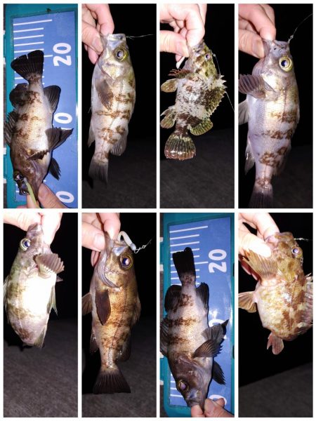 おさえでジグ単、フロート