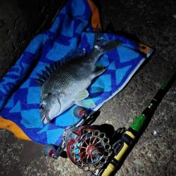 大阪湾奥最前戦