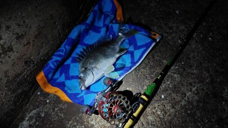 大阪湾奥最前戦