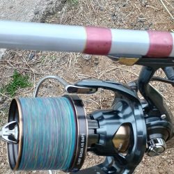 数は出ましたが型が