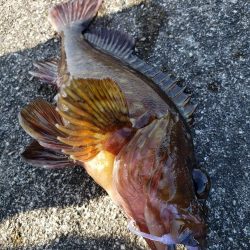 朝練からの穴練