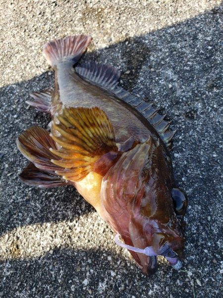 朝練からの穴練