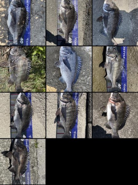 イチノ兄弟、釣果！