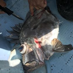 中深海ジギング