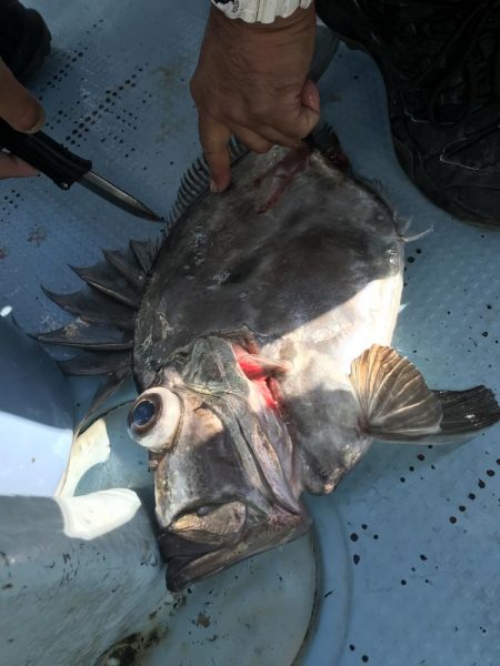 中深海ジギング