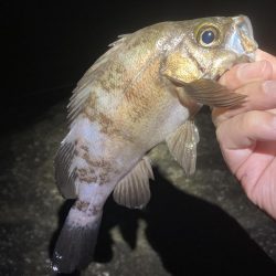 久しぶりに楽しめました！