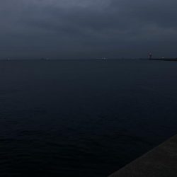 チヌ33cm、外道にコブダイ40cm