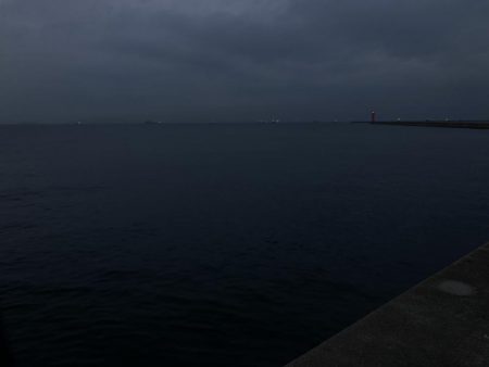 チヌ33cm、外道にコブダイ40cm