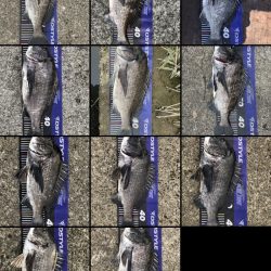 イチノ兄弟、釣果!