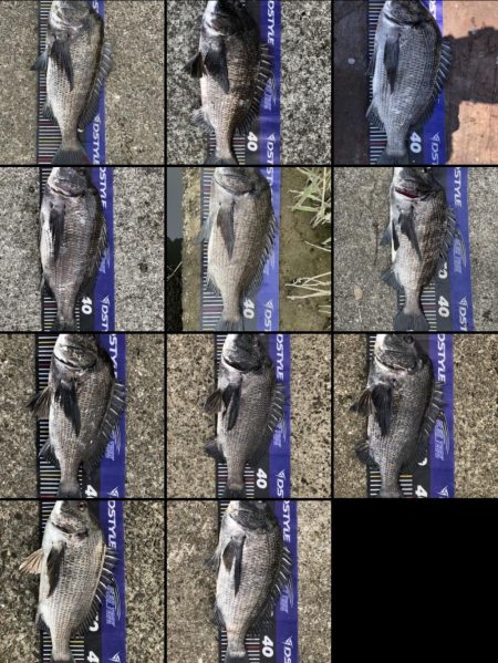 イチノ兄弟、釣果!