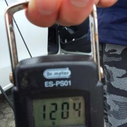 爆風だったので湾奥でコウイカ狙い