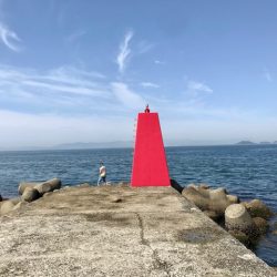 色々やって、鯛とハマチ