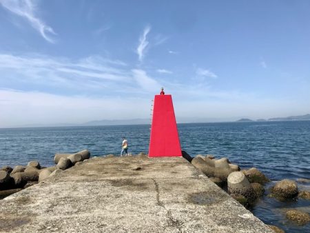 色々やって、鯛とハマチ