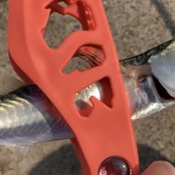 ダイソーサビキでサバ釣り