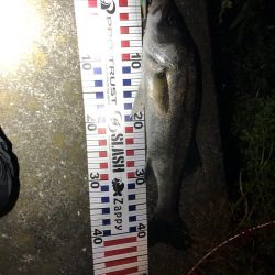 4回通って釣れました！