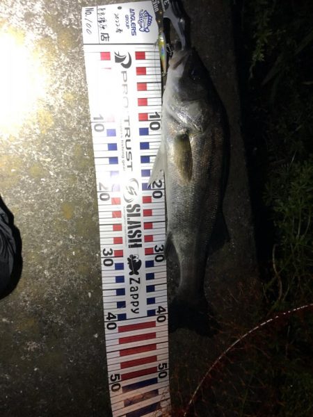 4回通って釣れました！