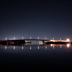 ややシブ、2022年5月メバリング釣果