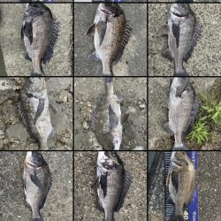 イチノ兄弟、釣果！