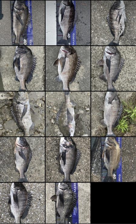 イチノ兄弟、釣果！