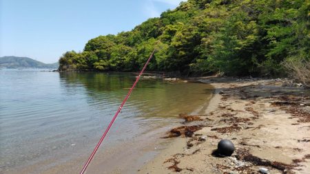 鯉川でのキス釣り