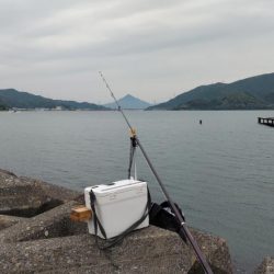 鯉川でのキス釣り
