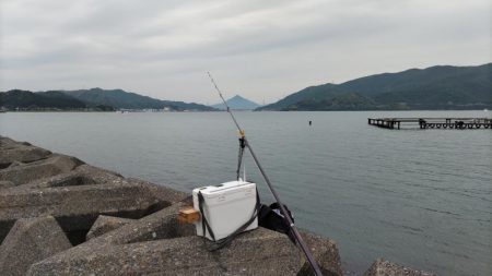 鯉川でのキス釣り
