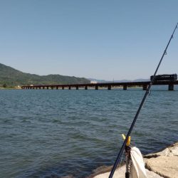 由良川でキス釣り