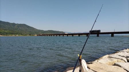 由良川でキス釣り