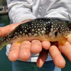 ファミリーフィッシング