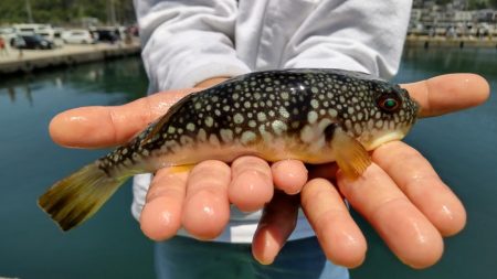 ファミリーフィッシング