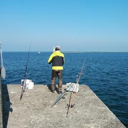 良型キスが釣れません