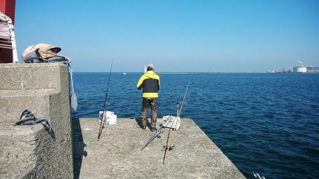 良型キスが釣れません