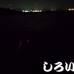 アジはいなかったのでガシラ狙い。