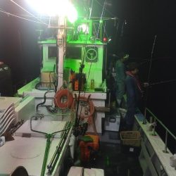 チャーターでわがまま便