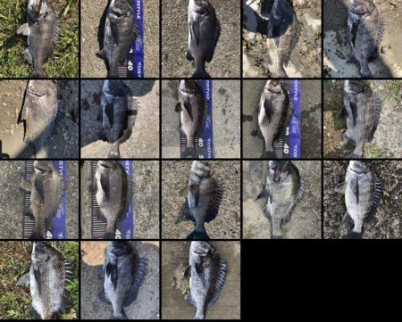 姫路爆釣！（イチノ兄弟）