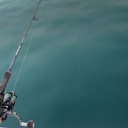 余裕の尺オーバー