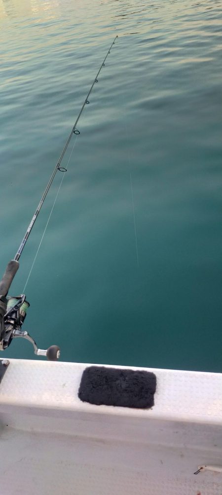 余裕の尺オーバー