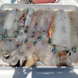 今期初ボートエギング