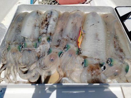 今期初ボートエギング