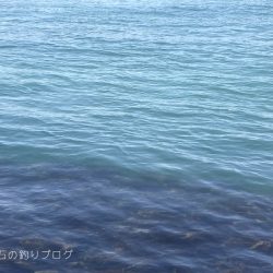 当たったブラクリでカンダイゲット!