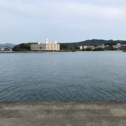 サビキに大物！