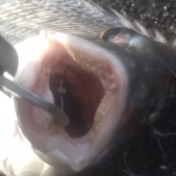 朝からかくれんぼ