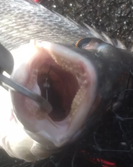 朝からかくれんぼ