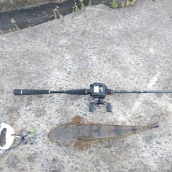 ウェーディング