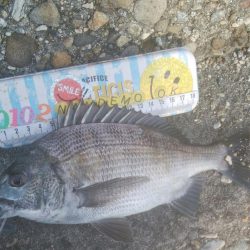 楽しい(^^)キビレ