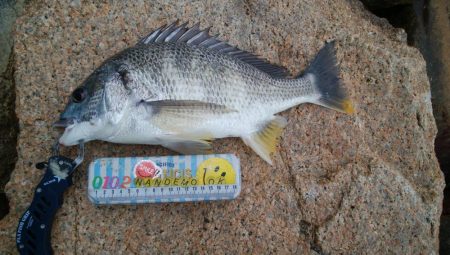 色々釣れて楽しかったデス(^^)