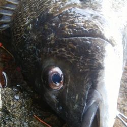 ライトゲーム(^^)楽しいデス♡♬♬♬