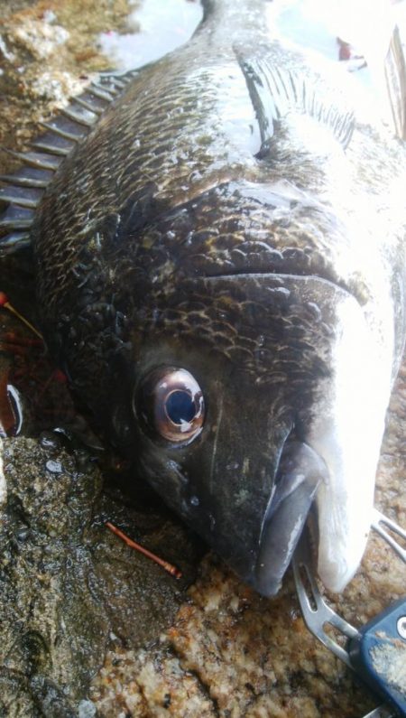 ライトゲーム(^^)楽しいデス♡♬♬♬