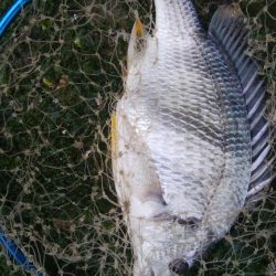 今日も釣り日和(^^)