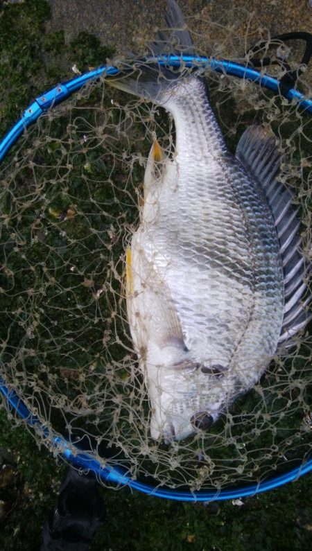 今日も釣り日和(^^)